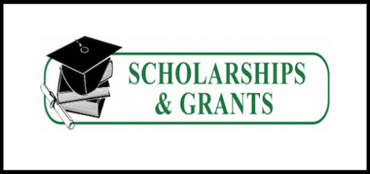 Scholarships banner